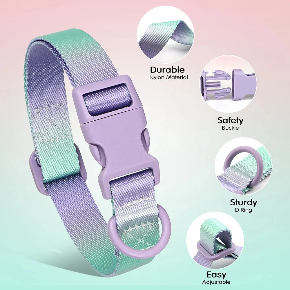 Colorful Printed Nylon Dog Collar