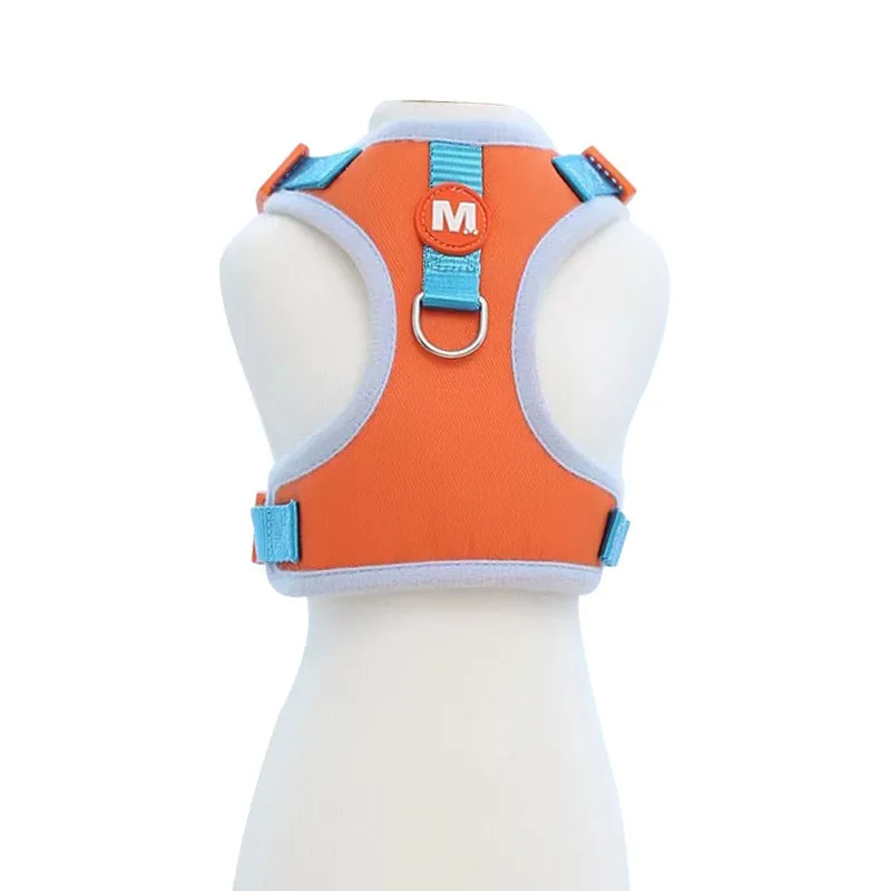 Elephant Cartoon Harness