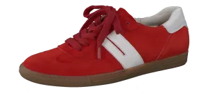 Paul Green 5350105- Trainer