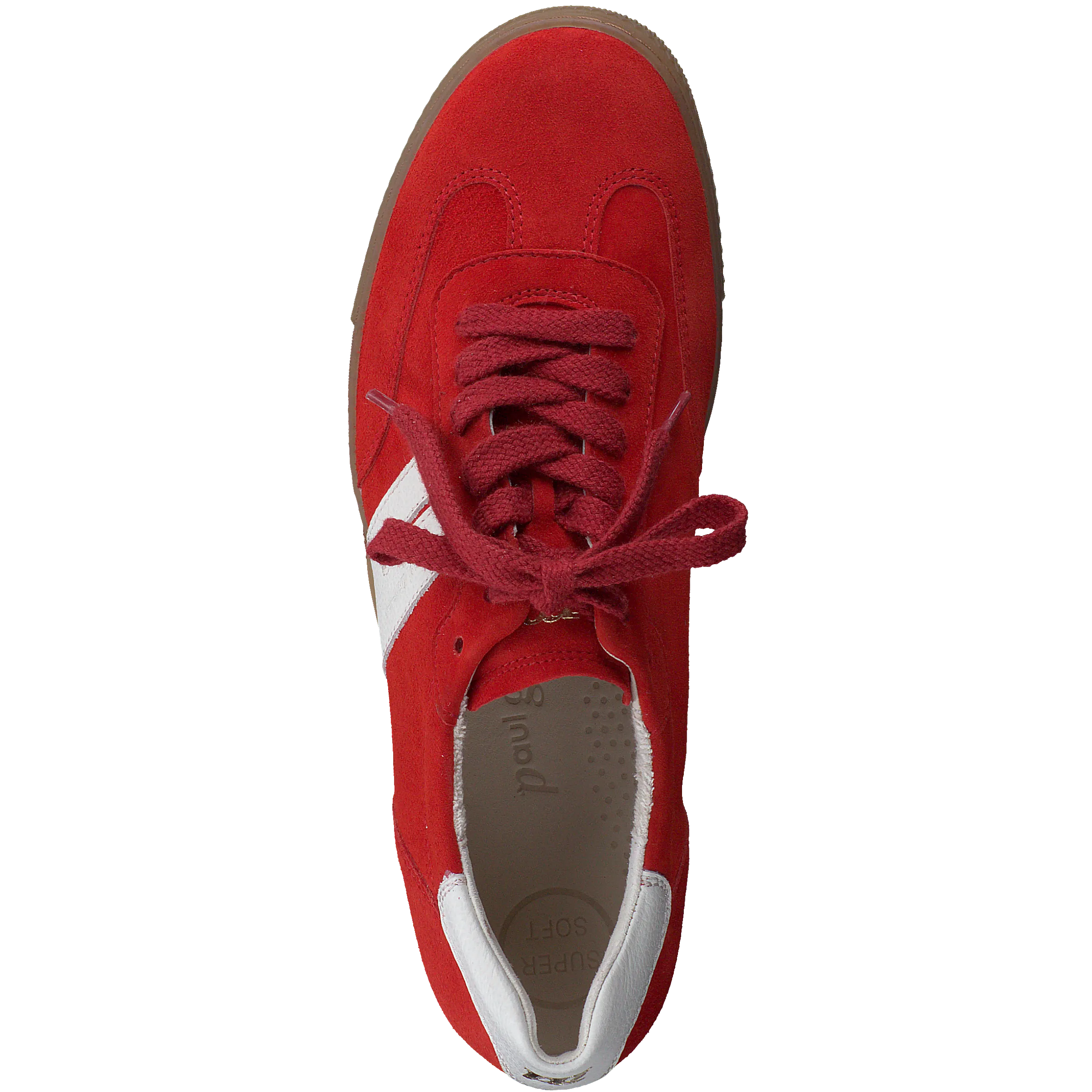 Paul Green 5350105- Trainer