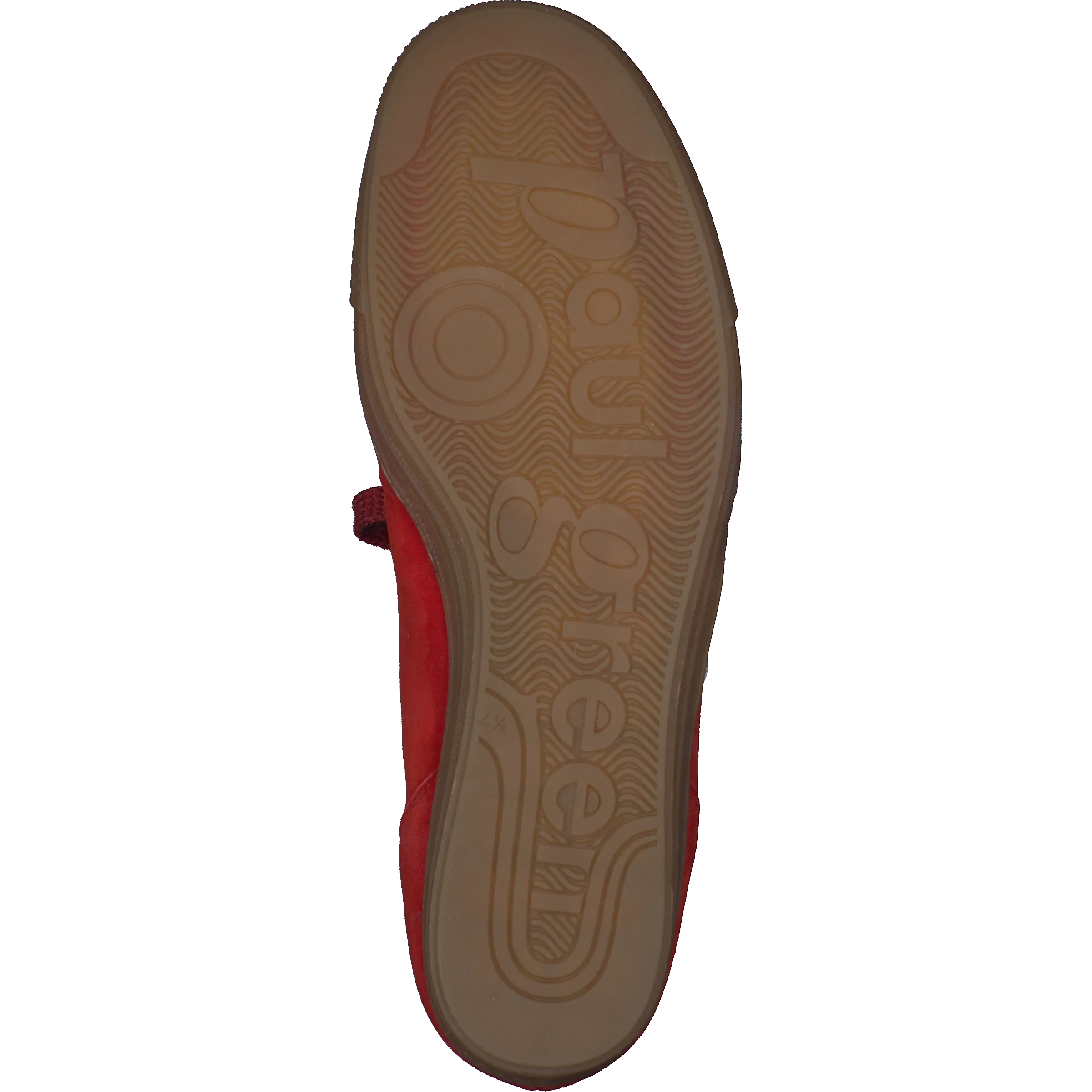 Paul Green 5350105- Trainer