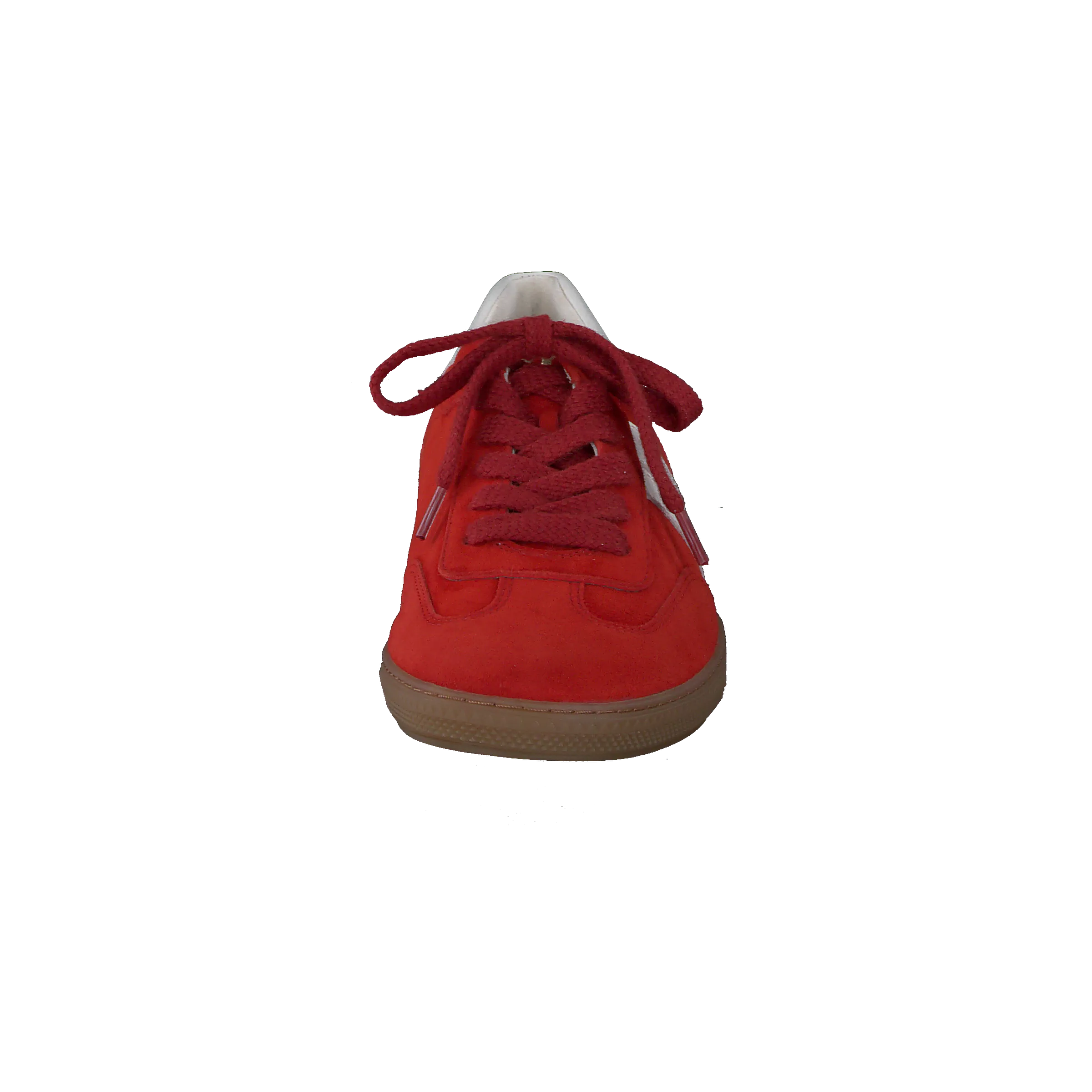 Paul Green 5350105- Trainer