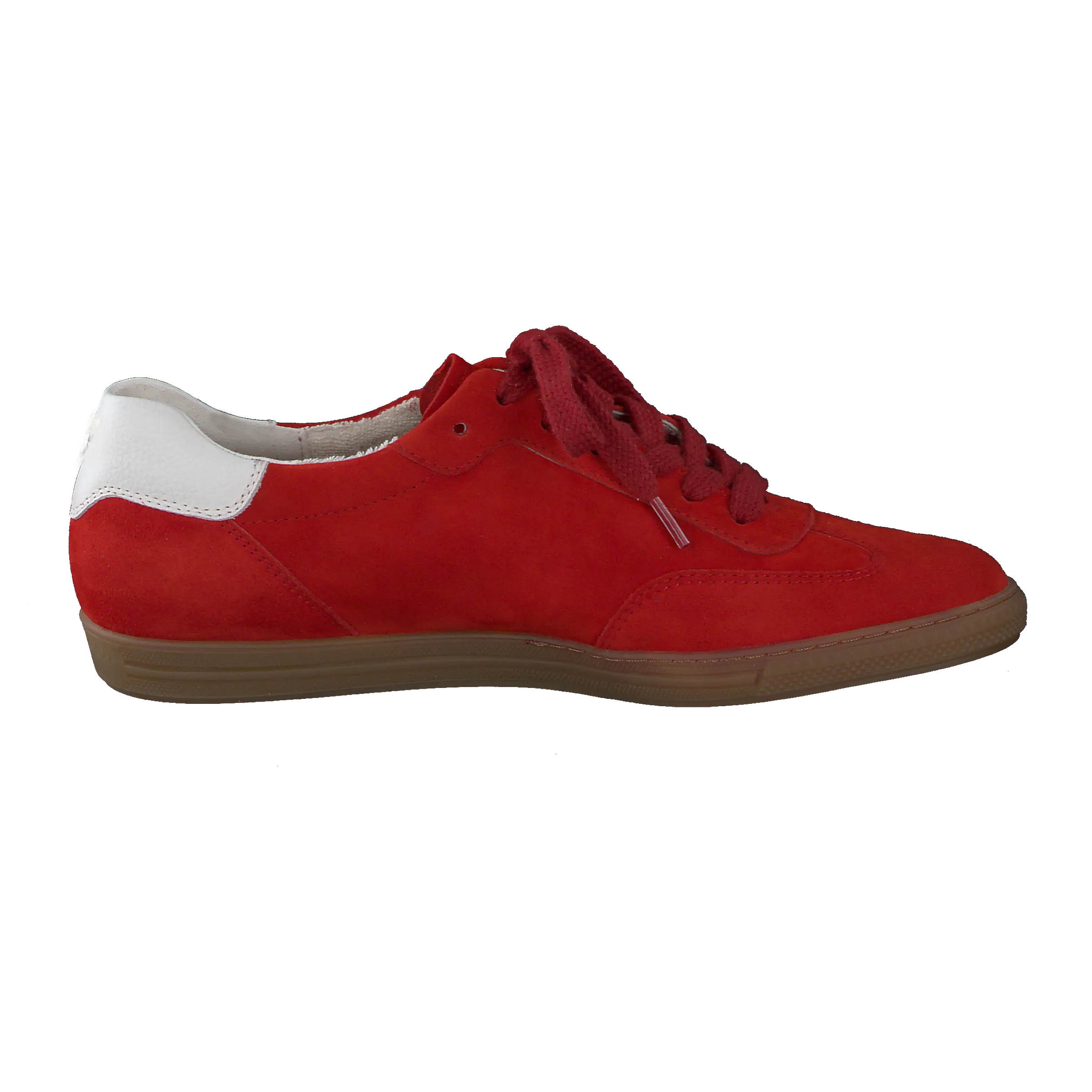 Paul Green 5350105- Trainer