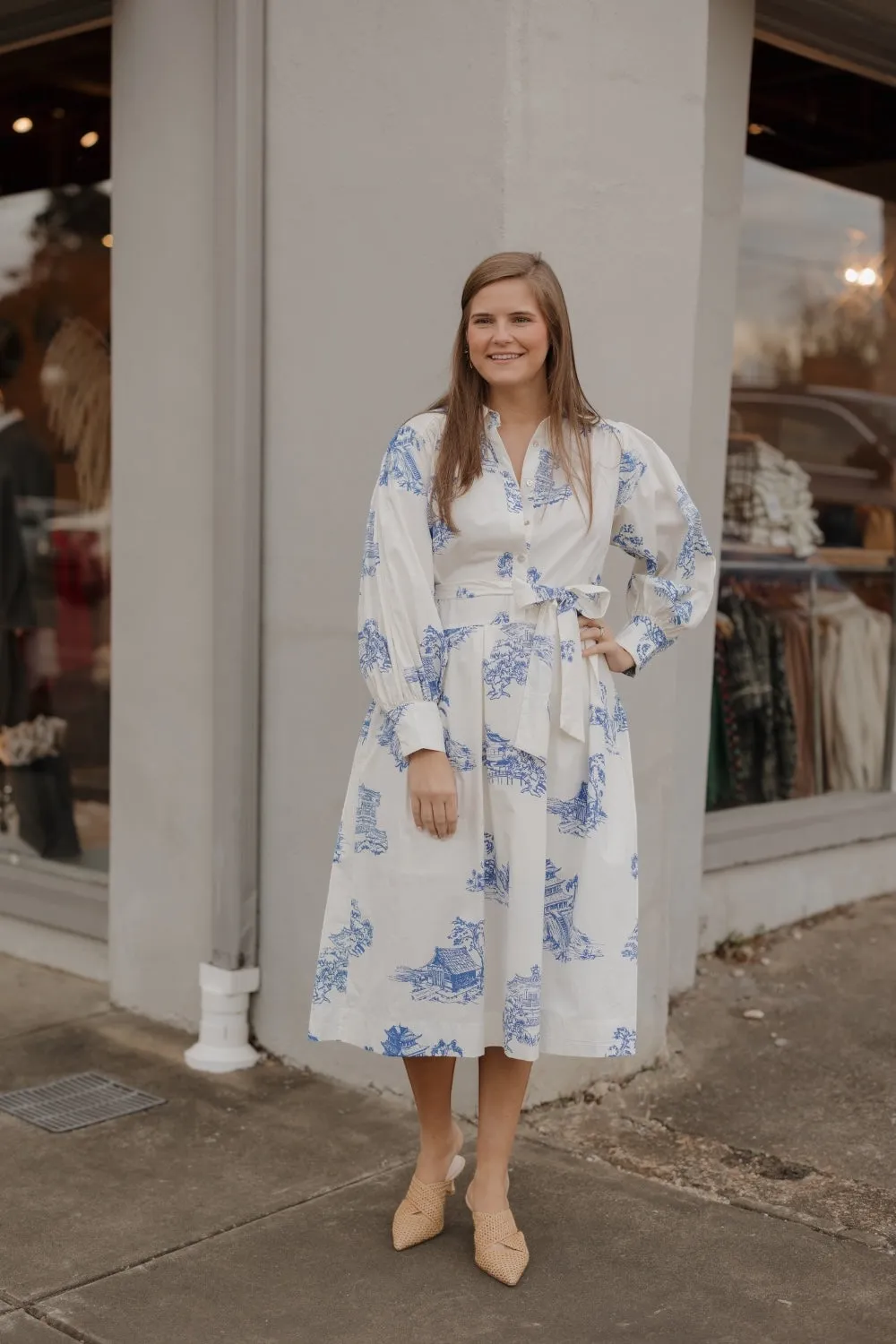 Toile Button Down Midi Shirt Dress