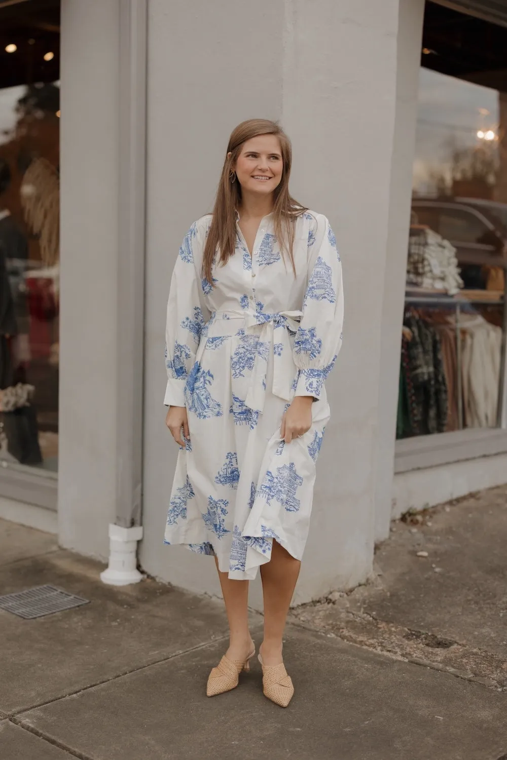 Toile Button Down Midi Shirt Dress